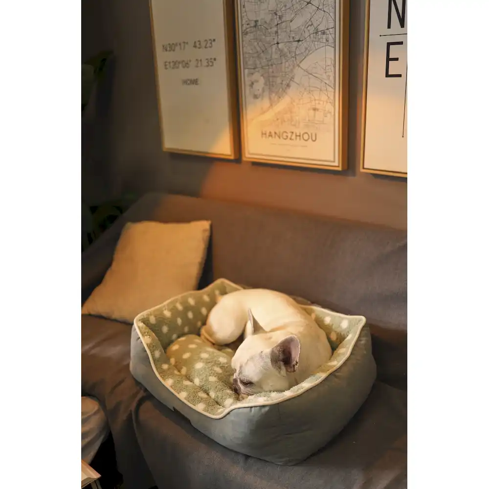 cheap cat beds for sale supplier
