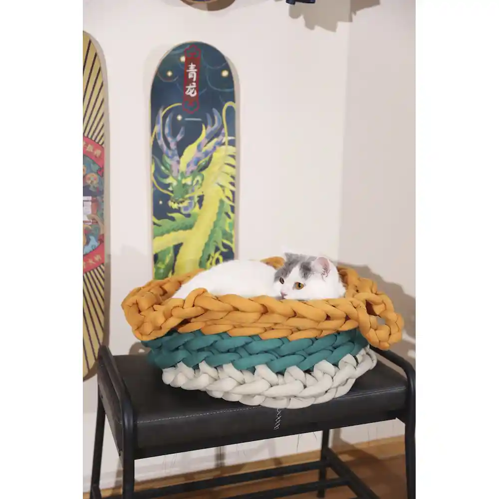 colorful dog beds manufacturer