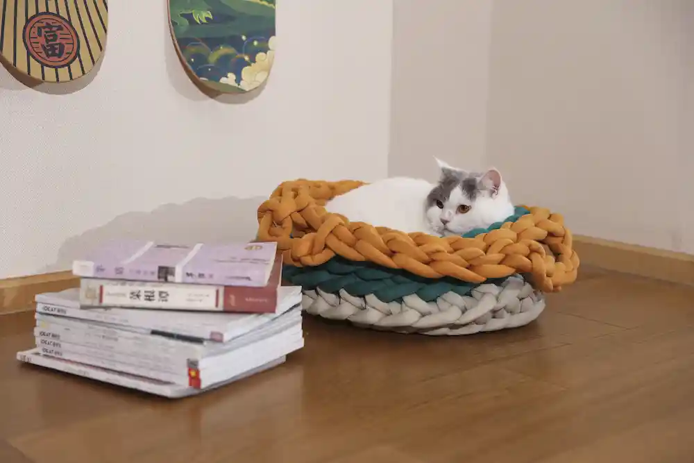 colorful dog beds wholesale