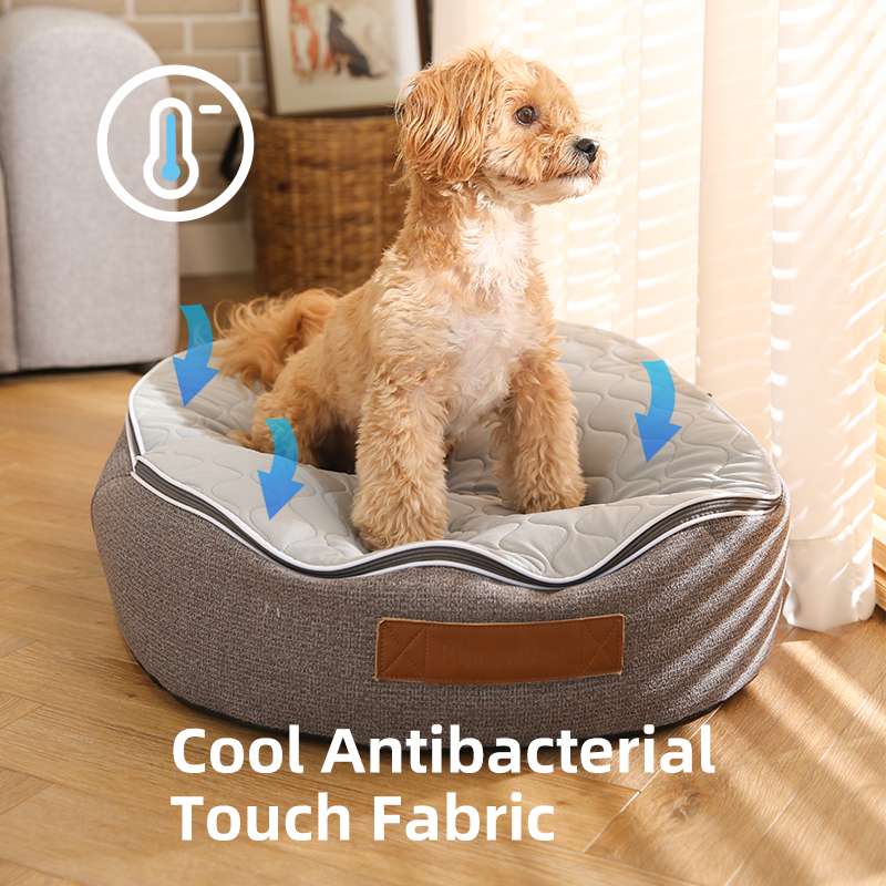 cooling dogs bed