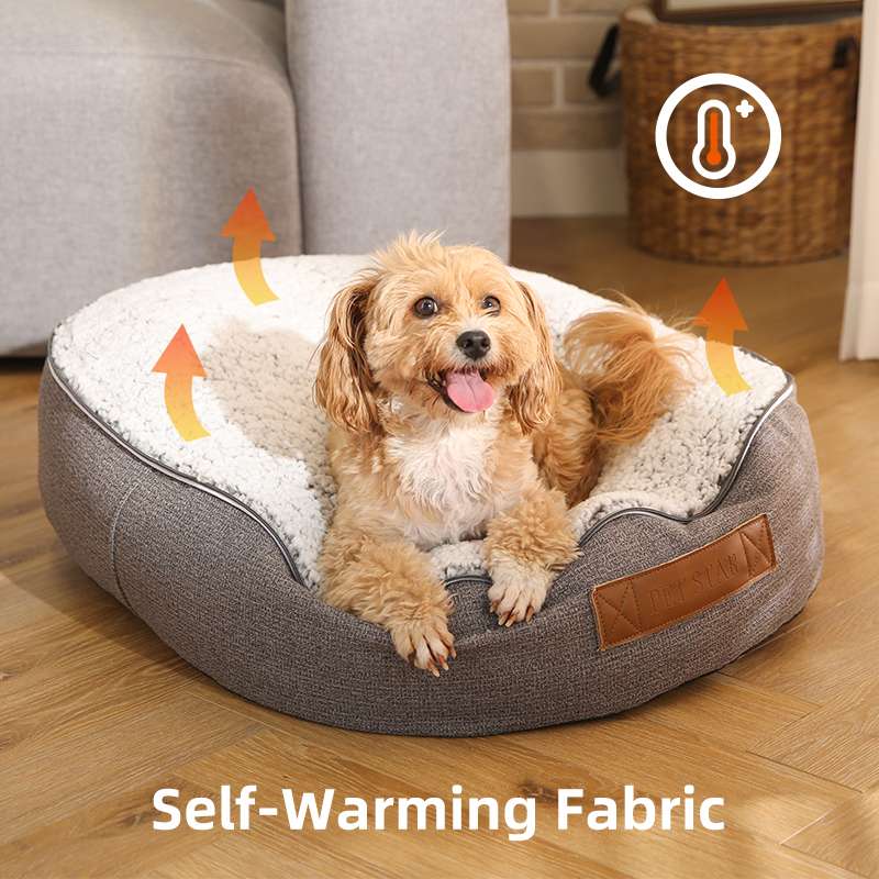 cooling dogs bed