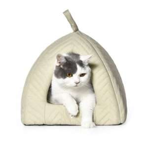 cozy cat cave