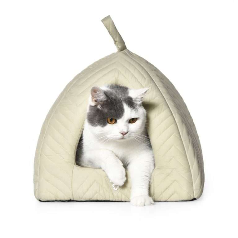 cozy cat cave