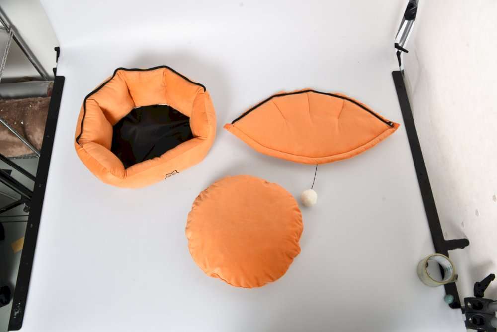 custom halloween cat cave