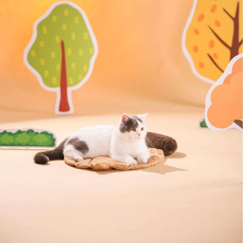 custom pet mats