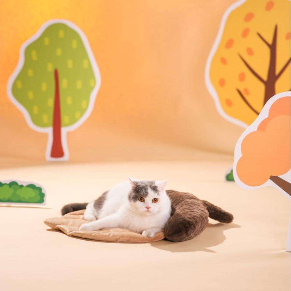 custom pets mats