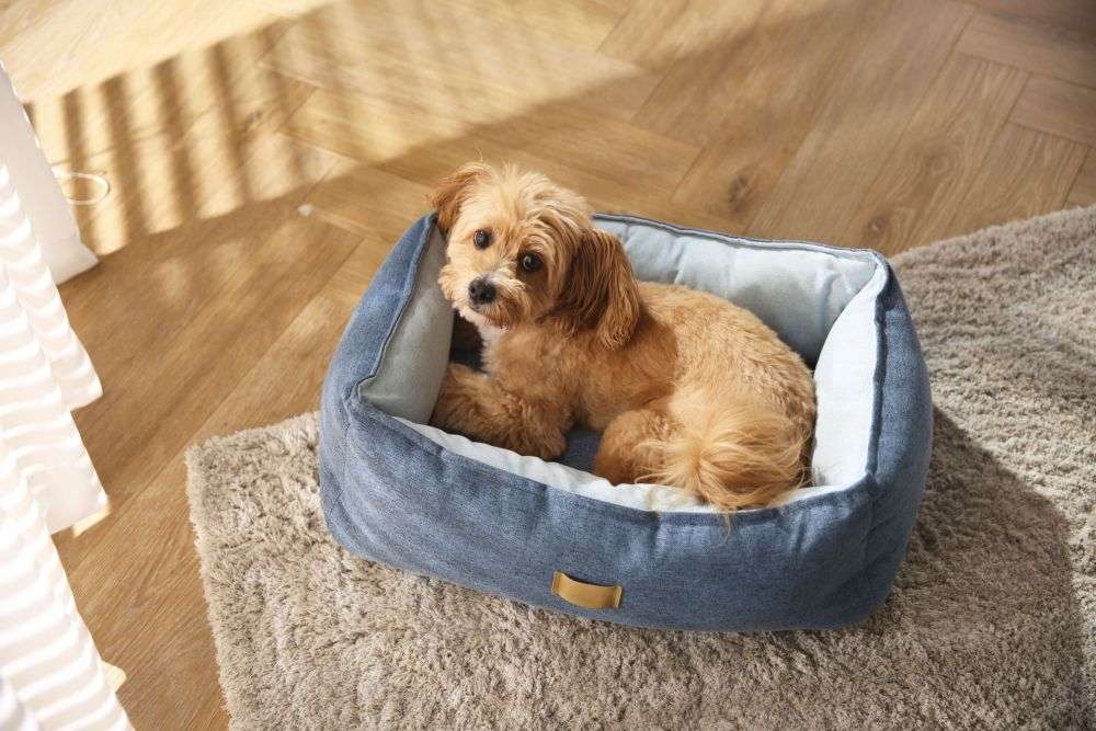 dog bed fabric washable