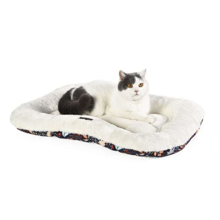 dog bed floor cushions