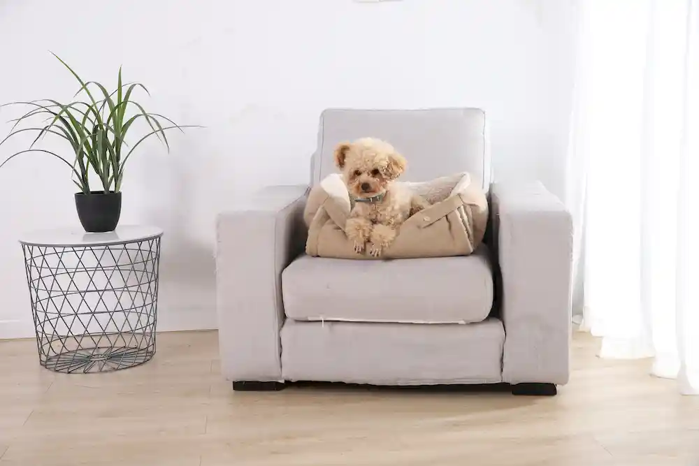 hundebett für sofa lieferant