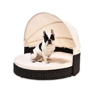 dog bed with tent