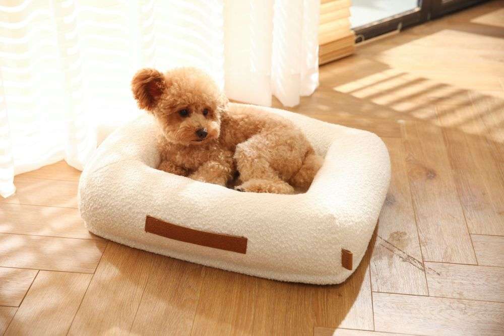 dogs bed manufacturers