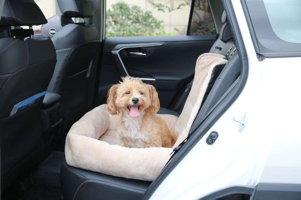 eco-friendly car seat cover cat