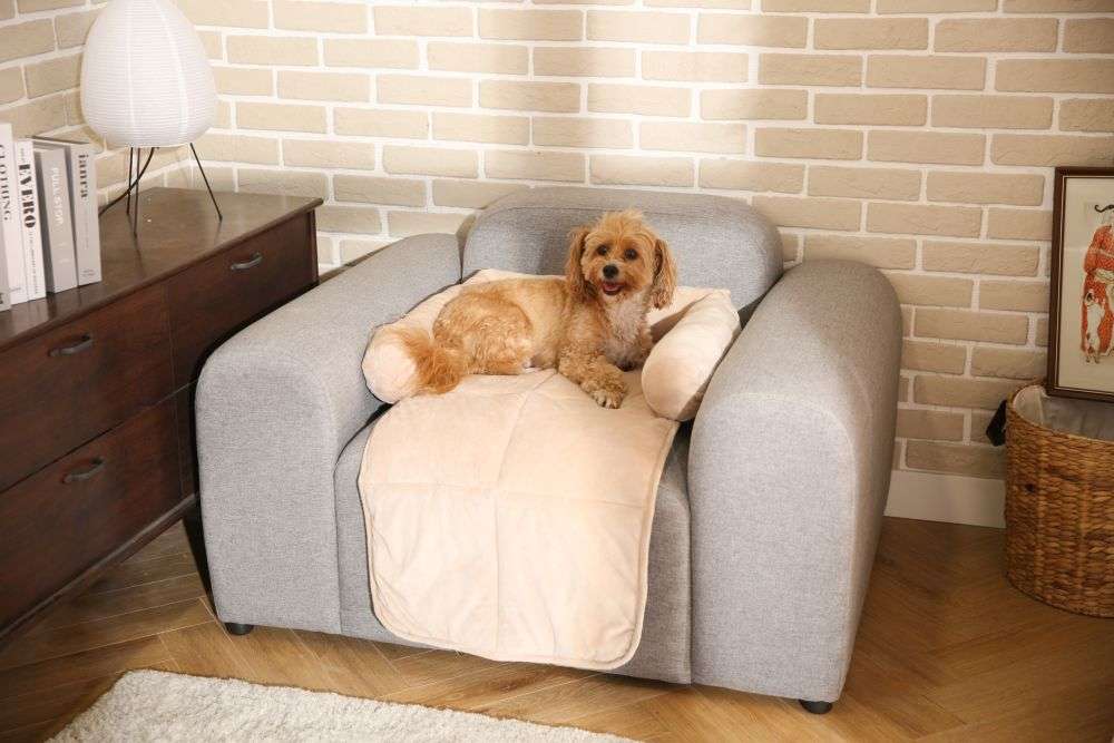 eco-friendly cat blanket