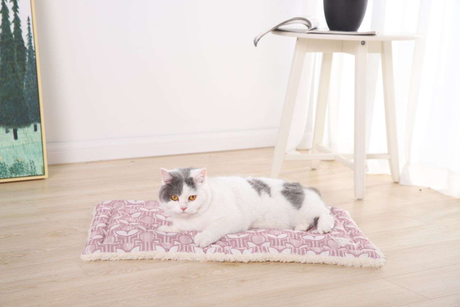 eco friendly dog blankets