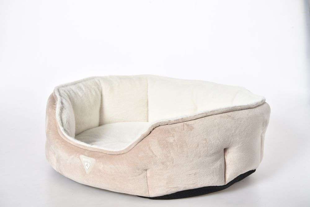 eco friendly dogs bed