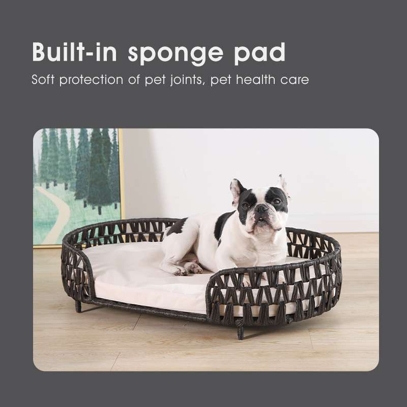 elevated pet bed