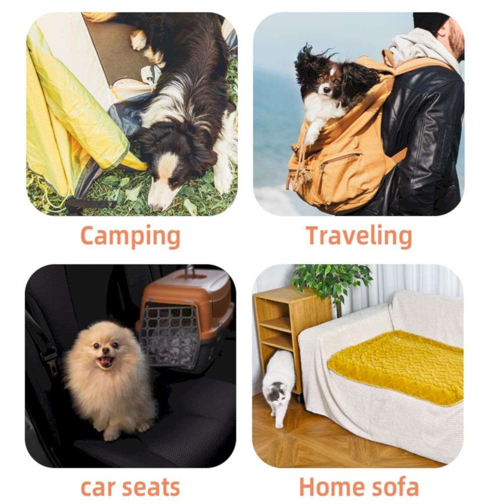 factory reversible pet blanket