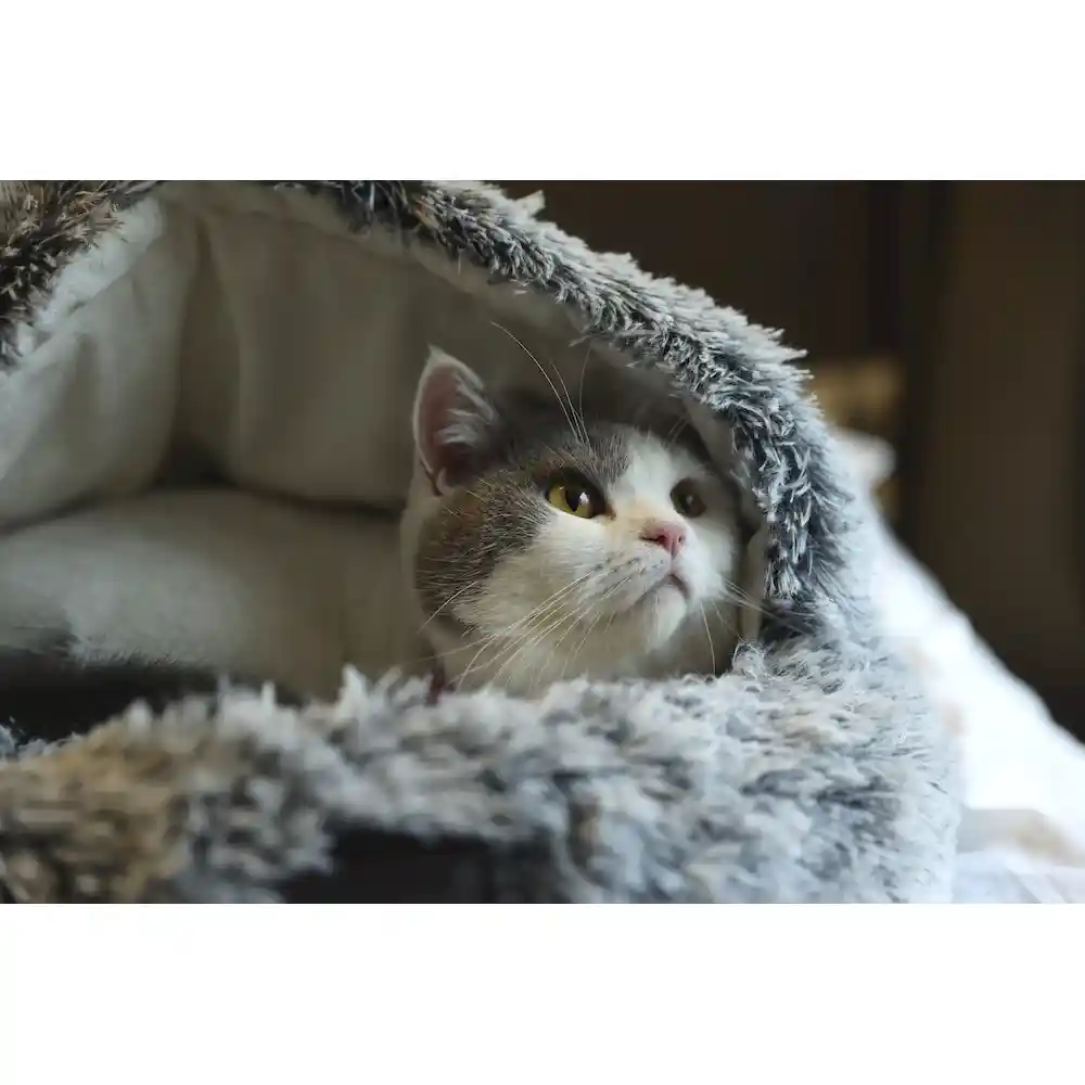 fake fur dog beds manufacturer