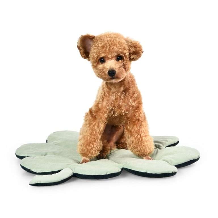 floor mat for pets