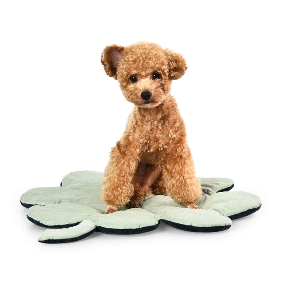 tapis de sol pour animaux de compagnie
