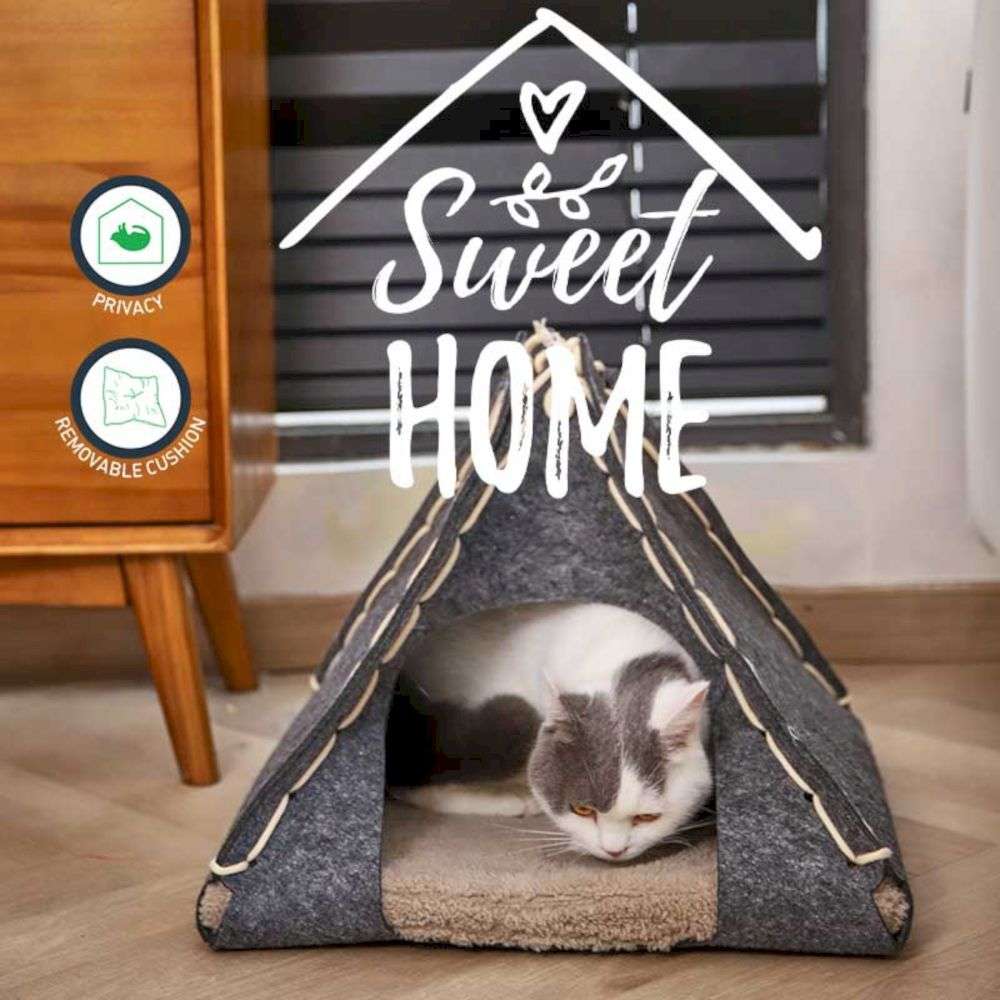 foldable pet beds