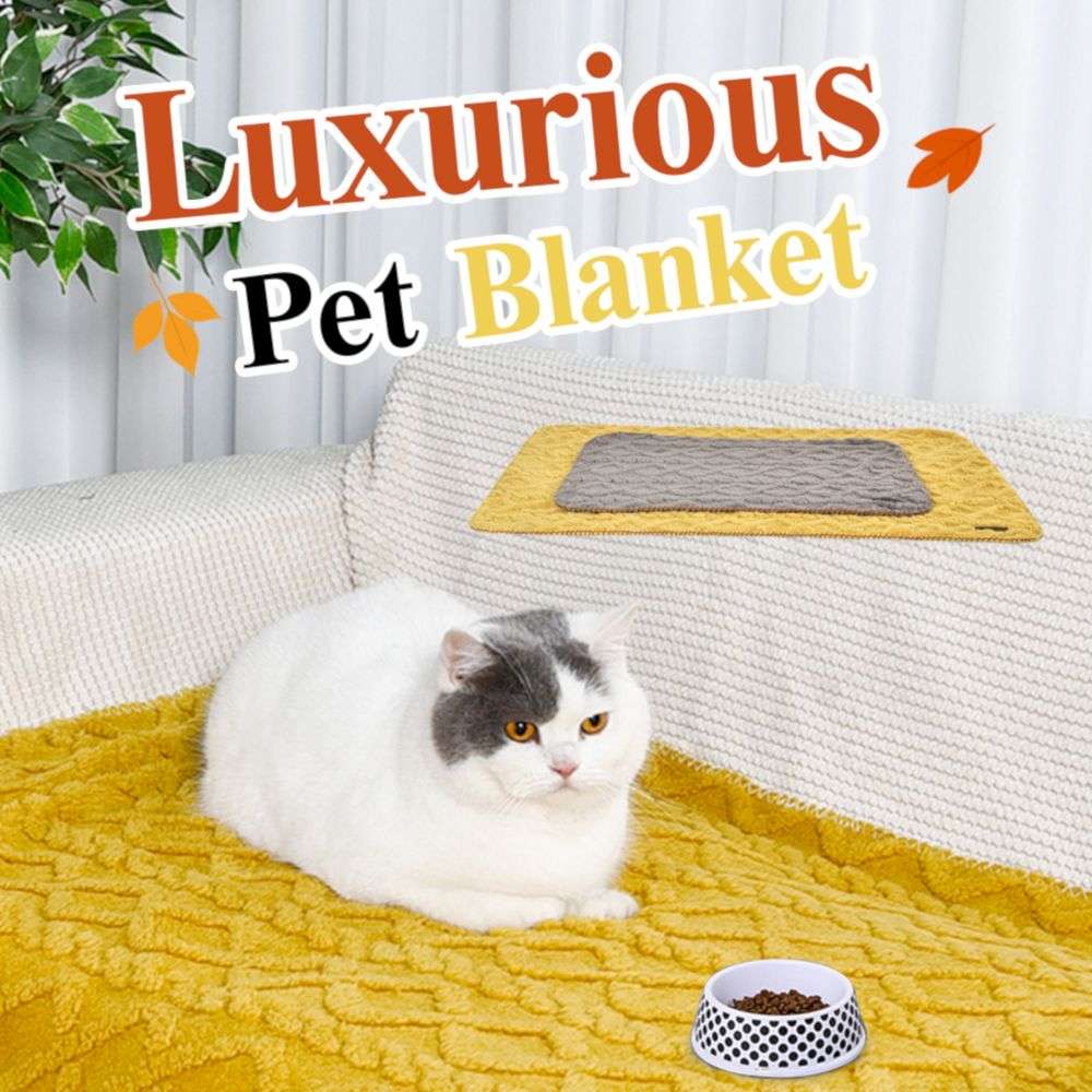 fuzzy pet blanket
