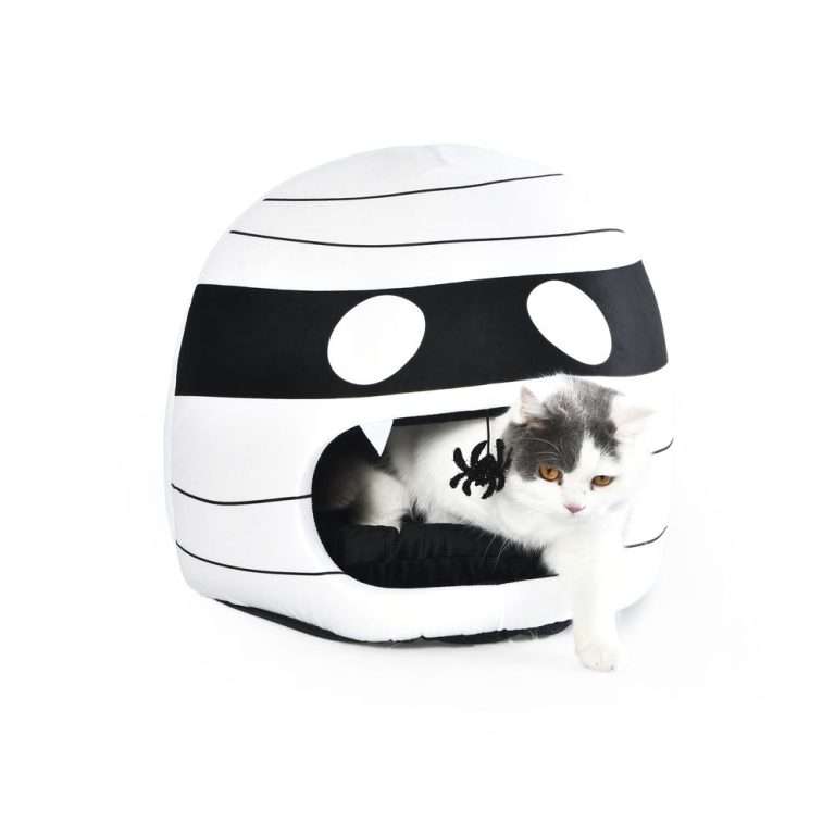 halloween cat beds