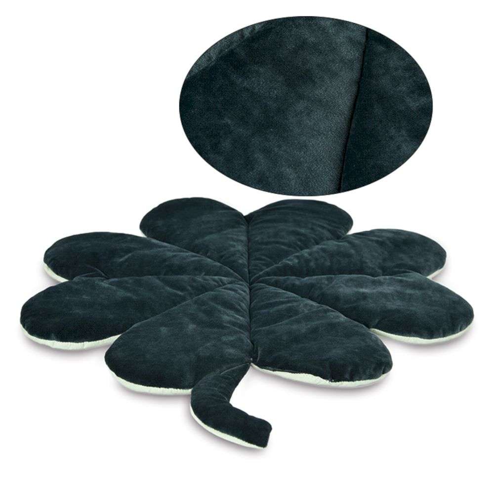 indoor dog mat
