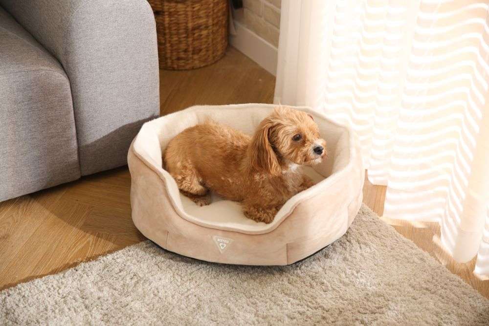 luxurious eco friendly dog bed