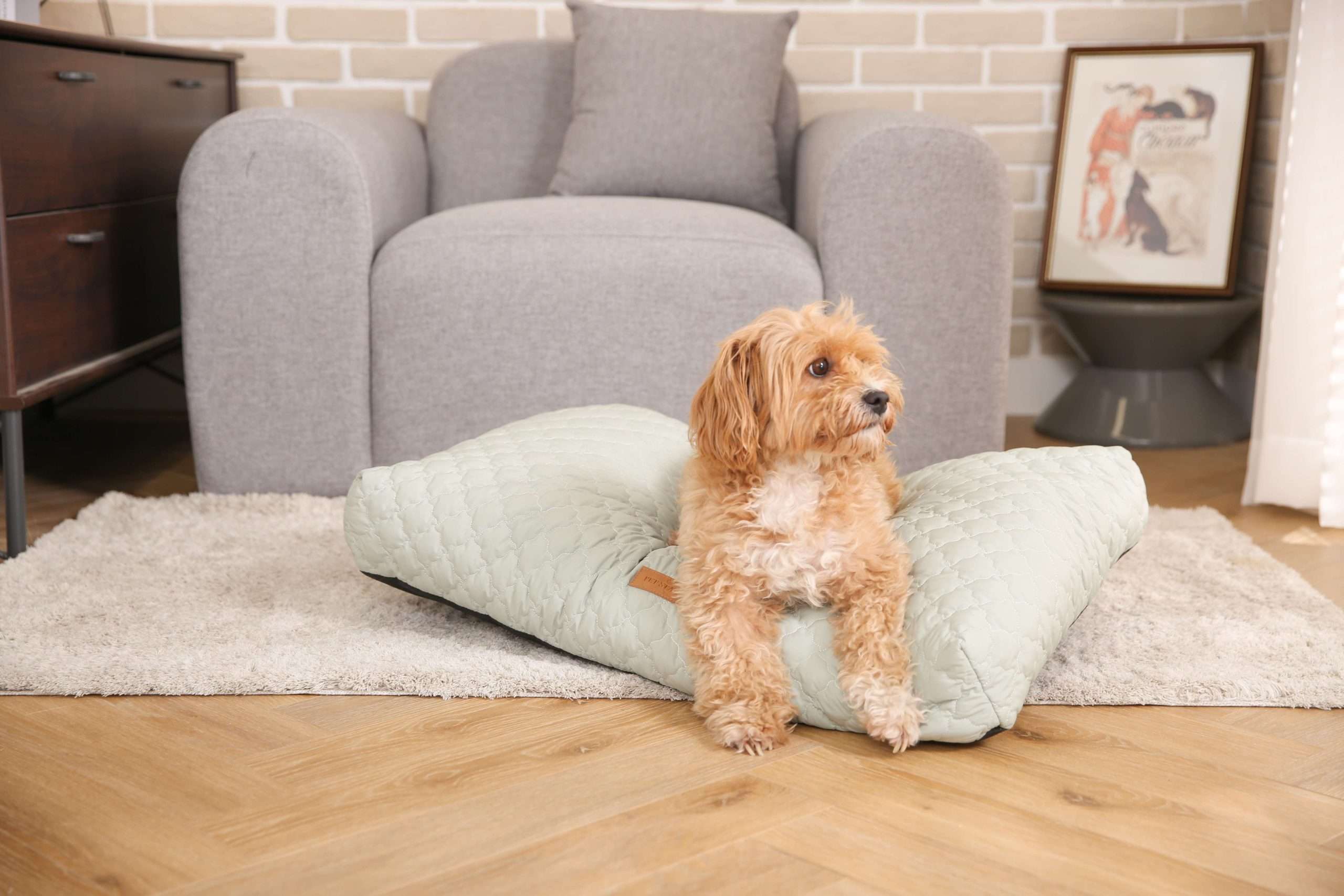 luxury pet cushion