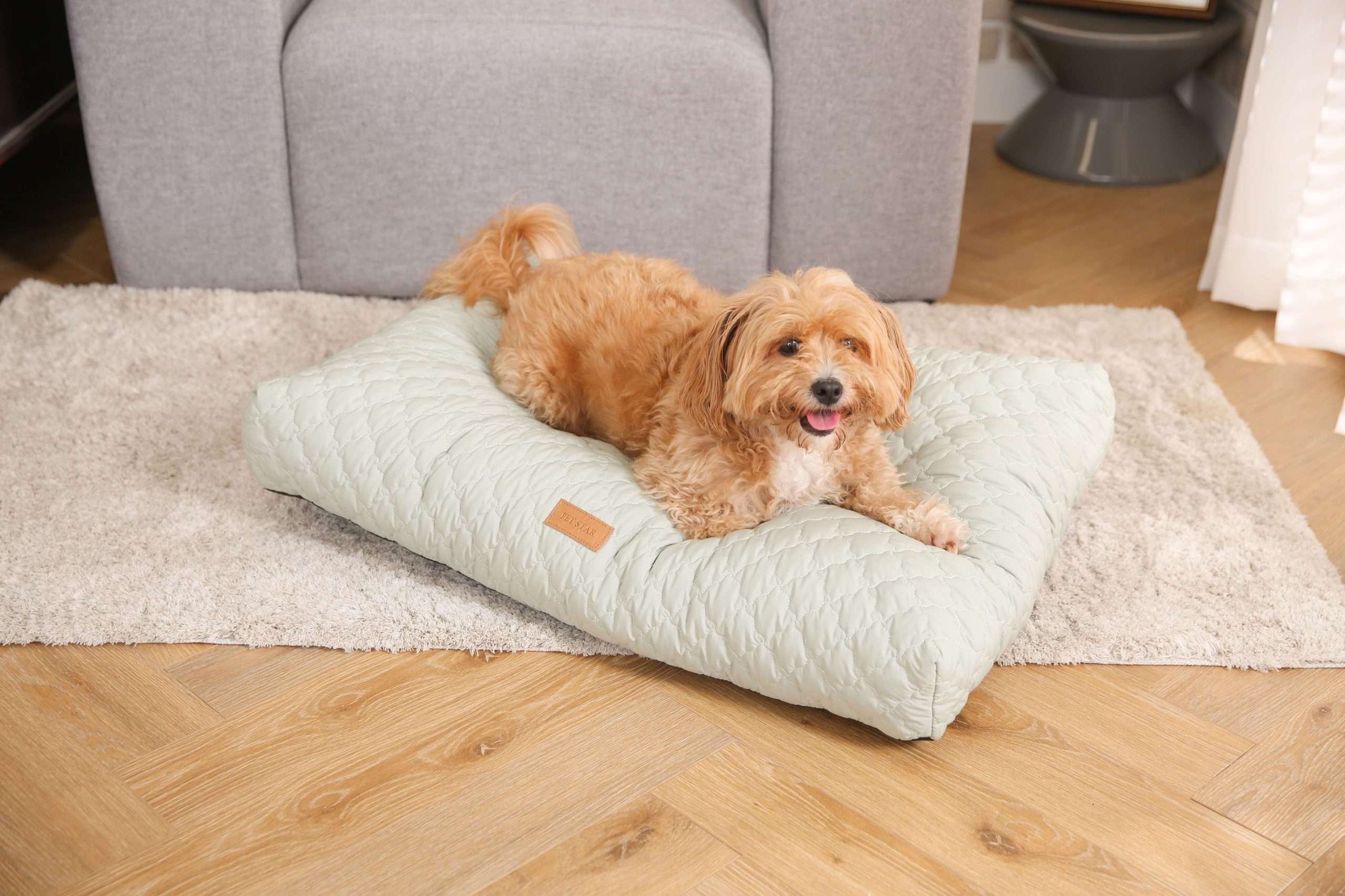 luxury pets cushion
