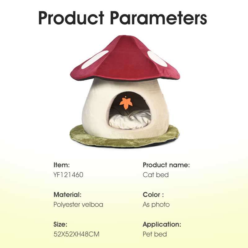 mushroom cat cave