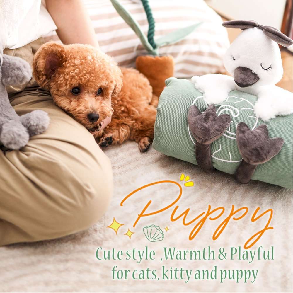 oem customized pet blanket