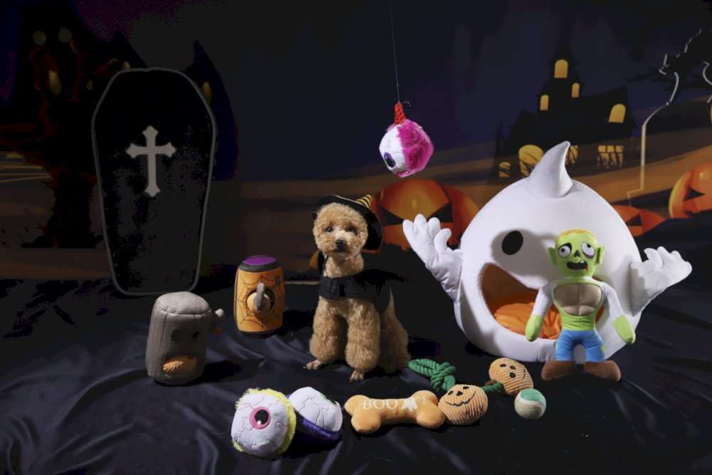 oem halloween pet bed