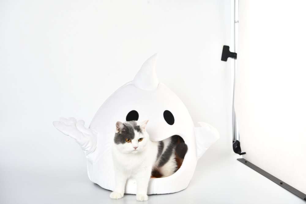 oem white cat cave