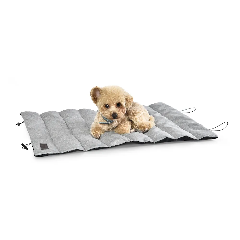 outdoor dog mat