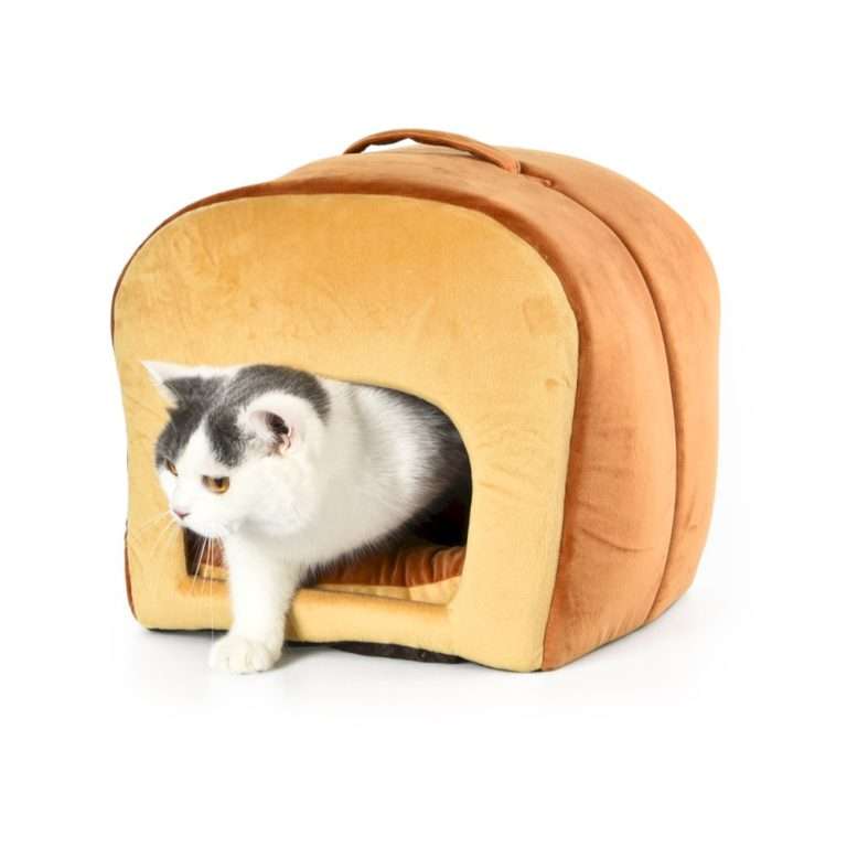 pet cave bed