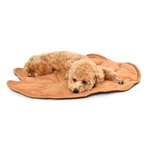 pet floor mat