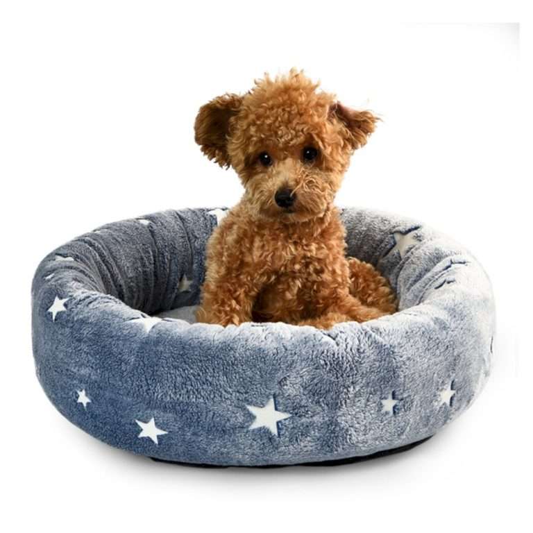 pet round bed