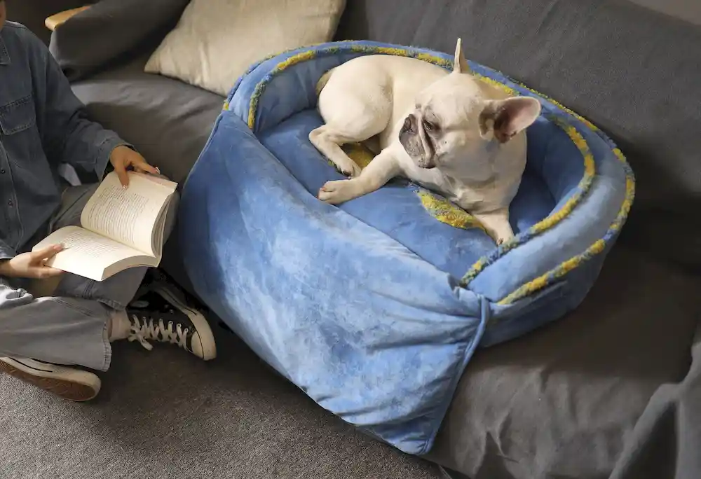 pet sofa bed in bulk