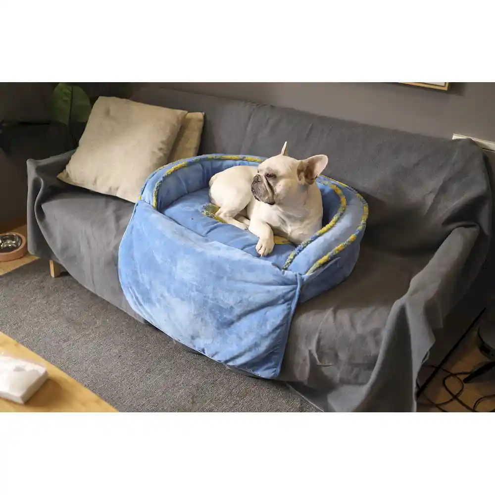 pet sofa bed manufacturer