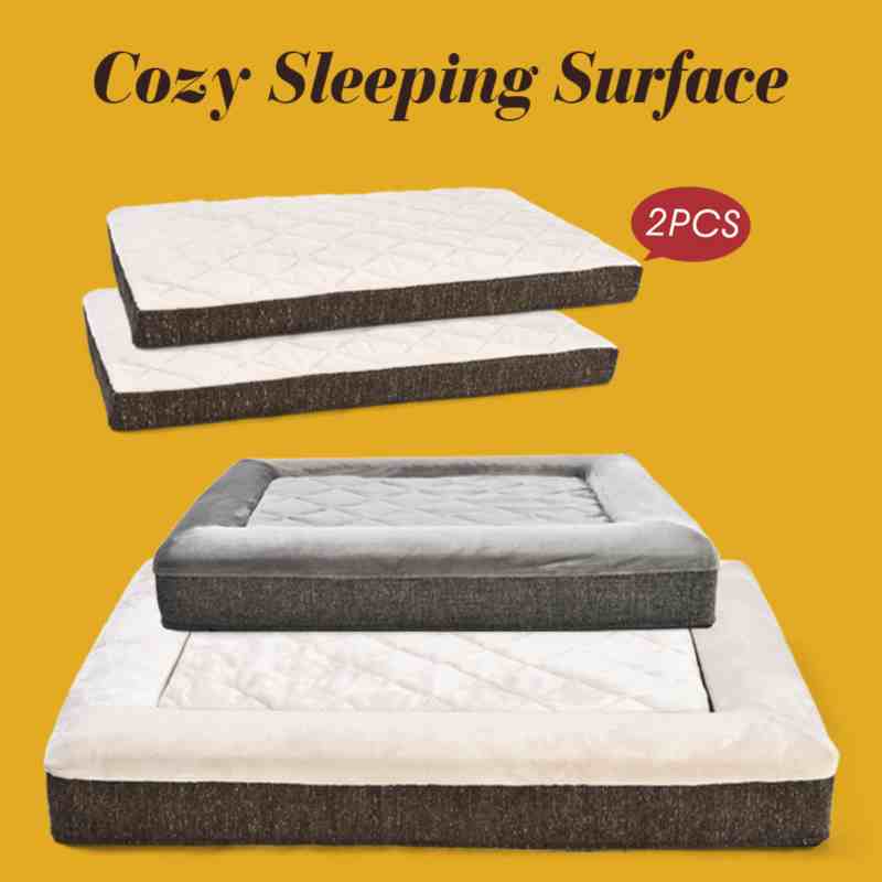 pet supplies wholesaler