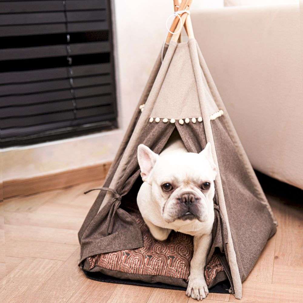 pet tent cat bed