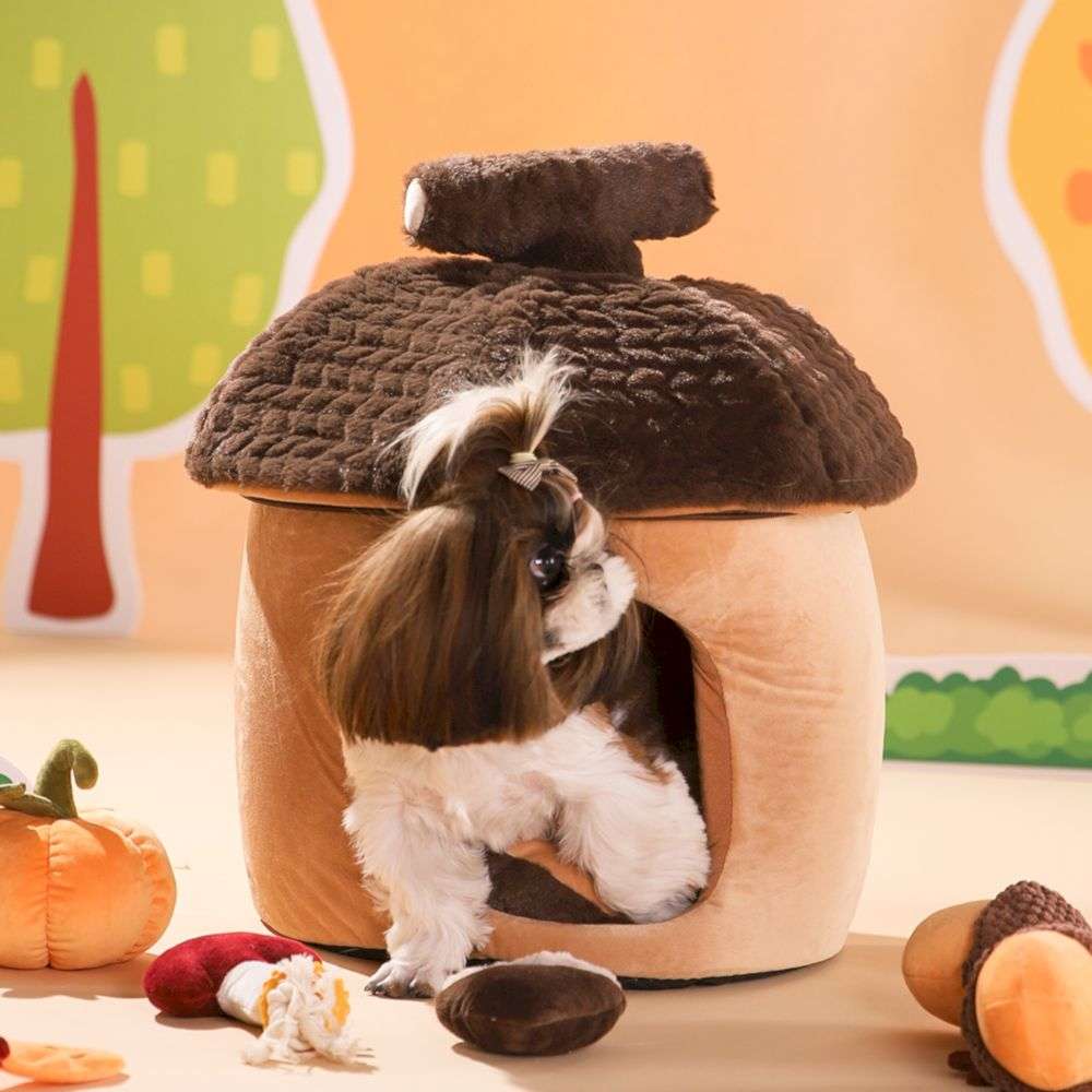 pets house beds