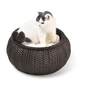 rattan cat bed