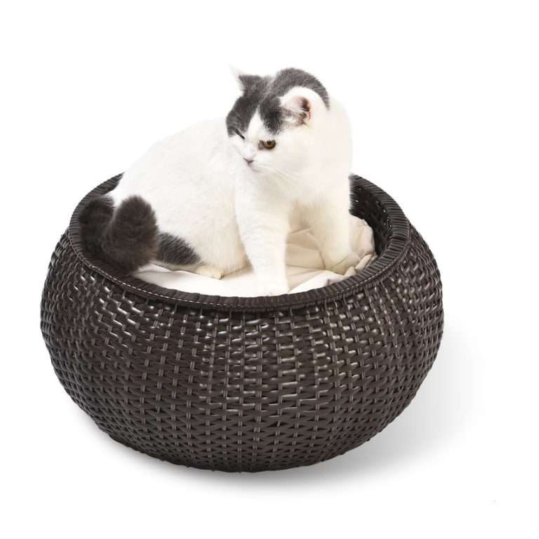 Rattan-Katzenbett