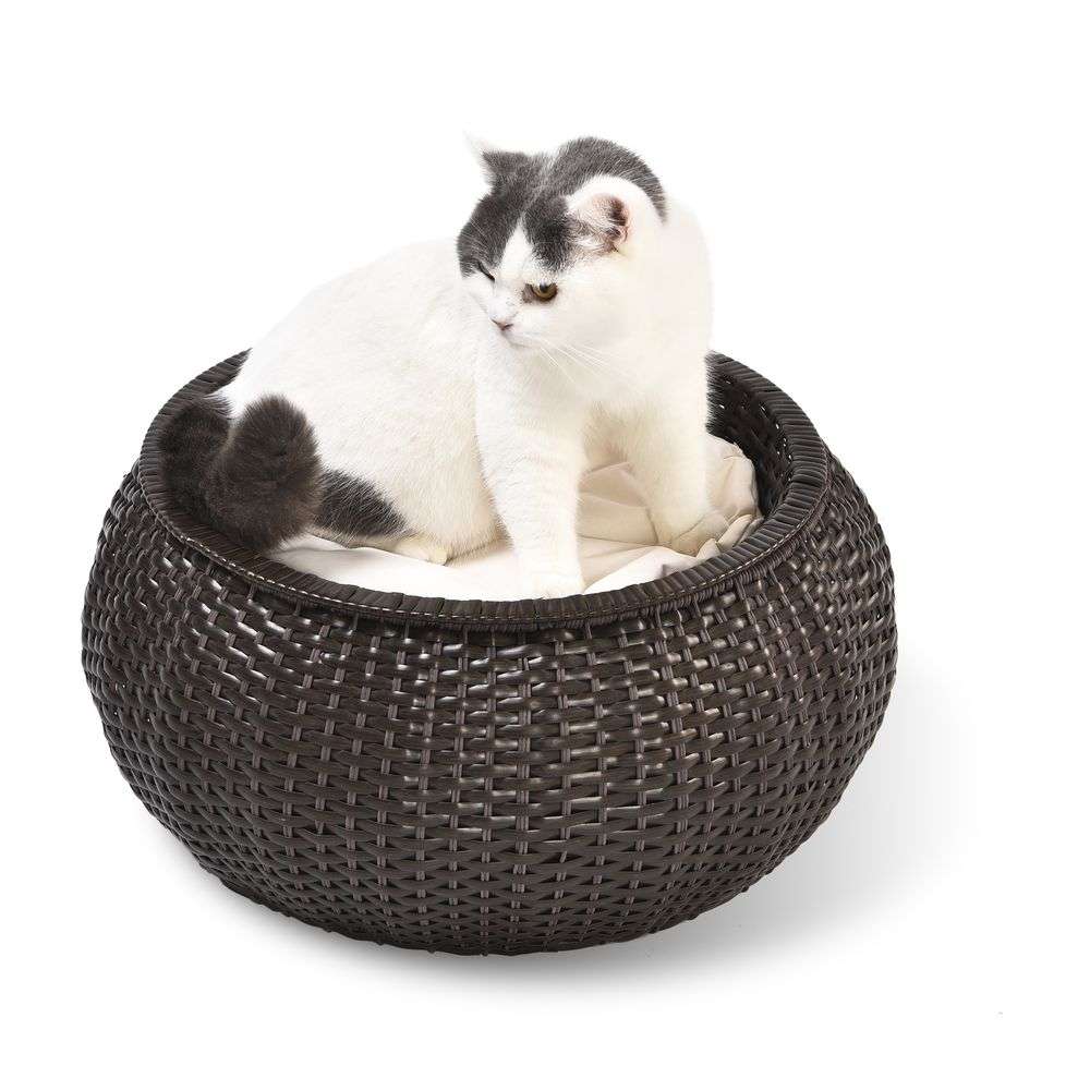 rattan cat bed