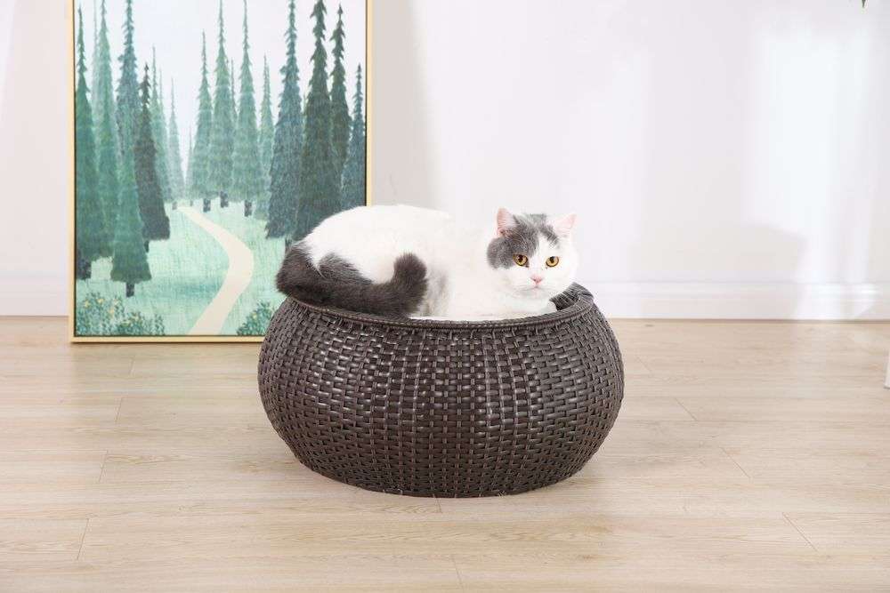 removable rattan cat bed