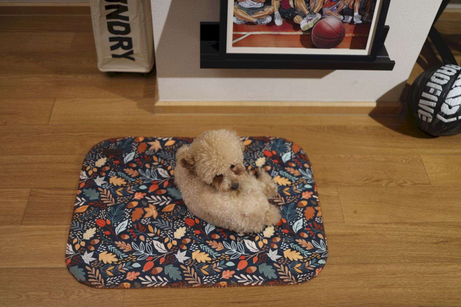 reversible custom cat blanket