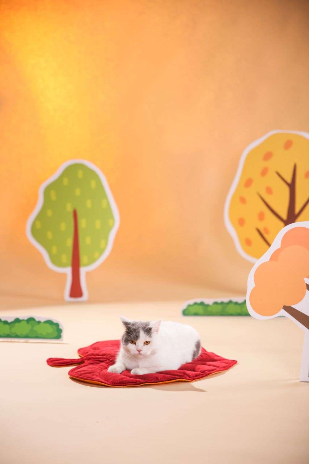 reversible pet mat